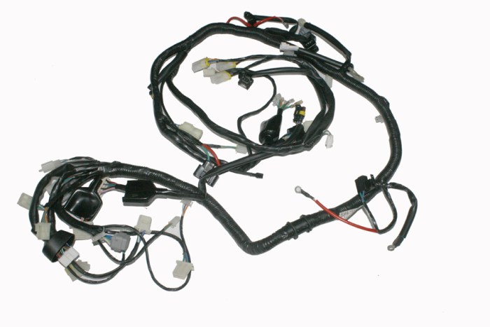 Y4CFM4000A0404_001 Elektrik Tesisatı Komple - Mondial 250 Jetmax - Görsel 1