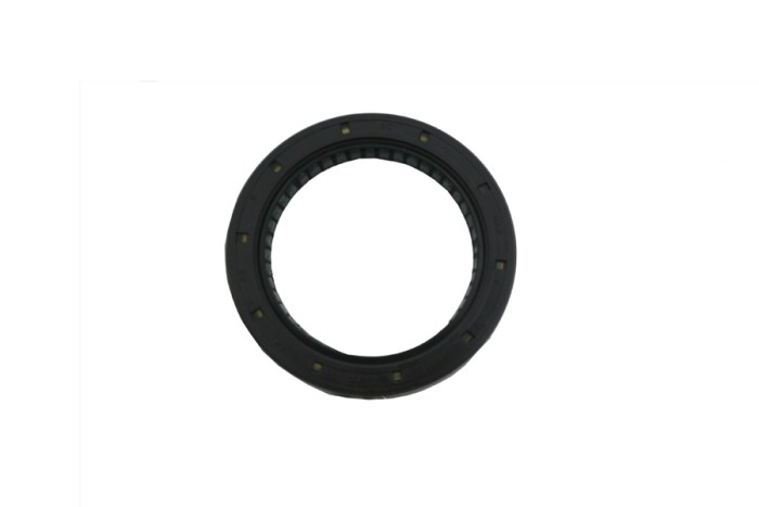 Y4CFM4004A0019_001 Yağ Keçesi 48x65x9 - Cf Moto Zforce 800 Ex Eps Utv - Görsel 1