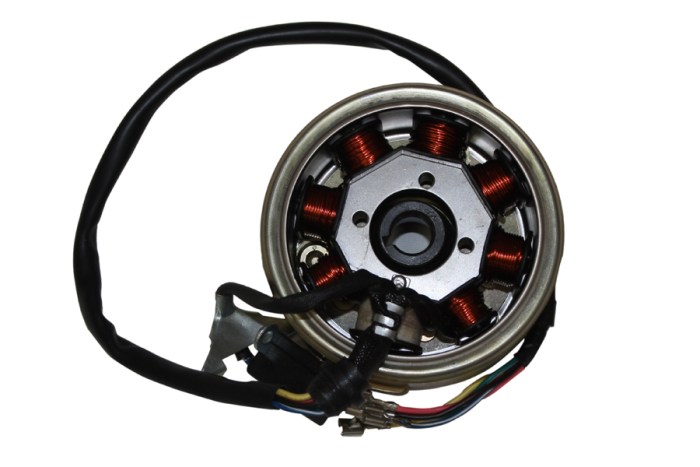 Y4MON0150A0075_001 Alternator Komple - Mondial 100 Masti - Görsel 1