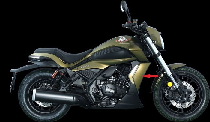 Regal Raptor DY 250 Radyatör Yan Dekor Grenaj Yeşil Sağ - Görsel 1