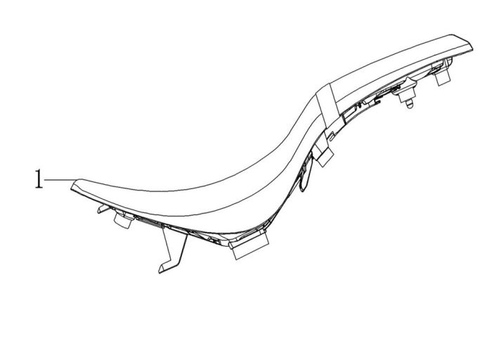 Regal Raptor DY 250 Sele - Görsel 1