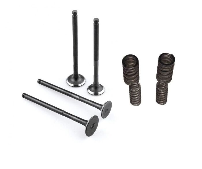 Regal Raptor Pılder 125 Subop Emme Egzoz Yay Set - Görsel 1