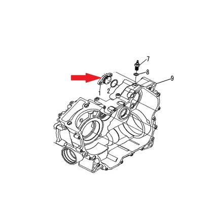 Regal Raptor Promax 500 Vites Boş Müşürü
